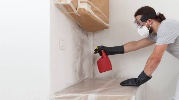 Professional Mold Testing technician working in Lincoln, IL