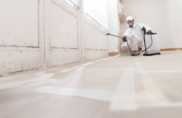 24/7 Emergency Mold Testing experts in Lincoln, IL