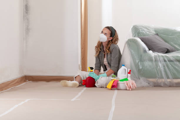 Reliable Mold Testing contractor in Lincoln, IL by WQB Mold Removal